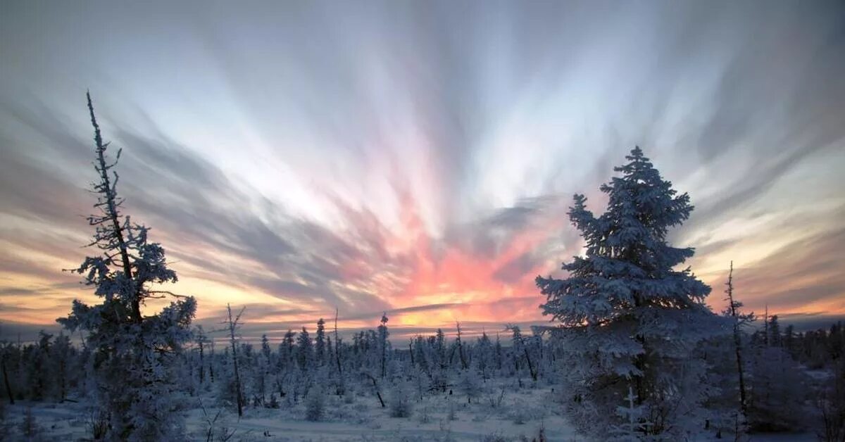 Заполярье Тайга. Зимняя Тайга Якутии. Тундра Якутии. Рассвет зимой.