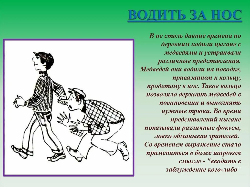 Что значит по любому. Водить за нос фразеологизм. Фразеологизмы рисунки. История фразеологизма водить за нос. История фразеологизма.