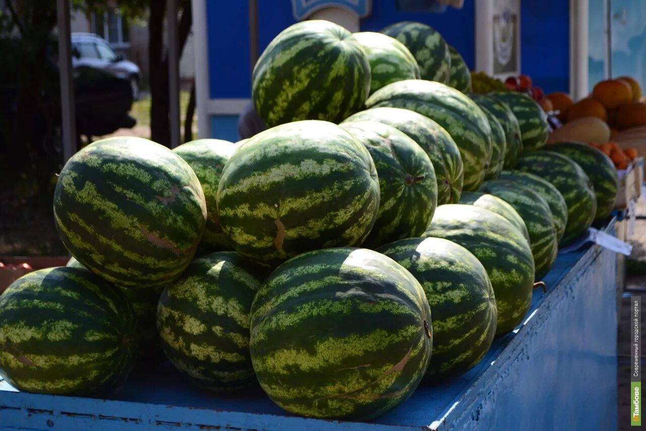 Арбуз купить рынок. Арбузы продают. Арбузы на рынке. Прилавок с арбузами.