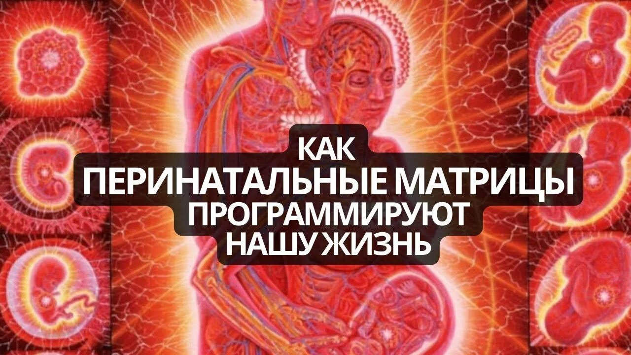 Матрица грофа психология