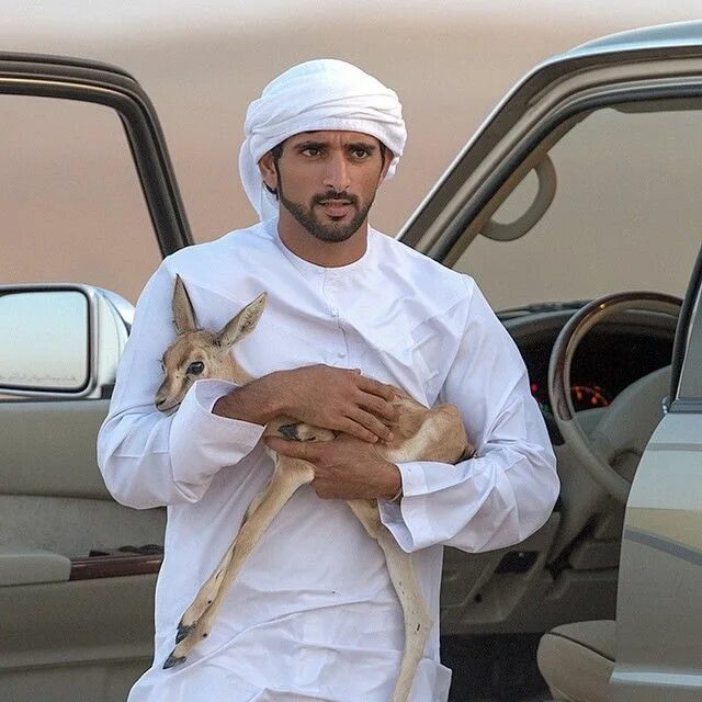 Бывает арабский. Принц Саудовской Аравии Хамдан. Шейх принц Дубая. Арабские принцы и шейхи. Принц Хамдан 2021.