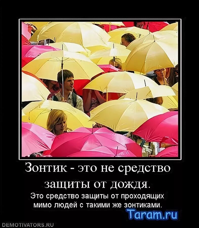 Анекдоты про зонтик. Афоризмы про зонт. высказывание про зонтик. цитаты про зонт. афоризмы про зонтик.