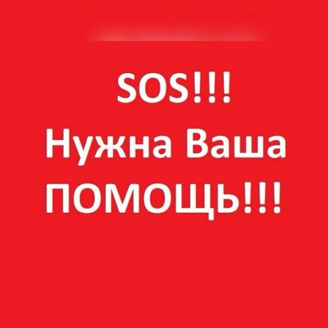 Нужен post. SOS помощь. Сос нужна помощь. Картинка сос. Срочно нужна помощь.