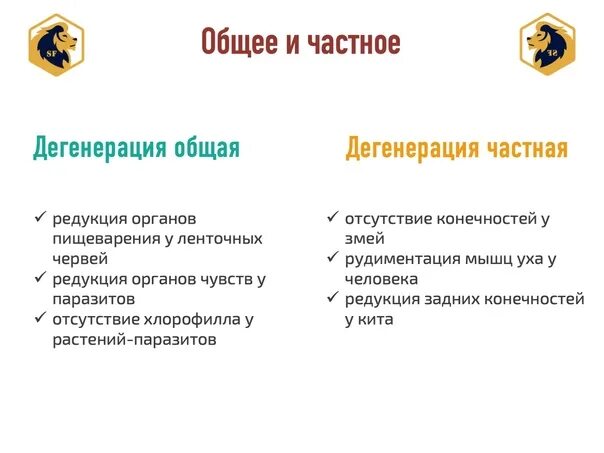 Укажите примеры общей дегенерации отсутствие пищеварительной Макроэволюция. Основные направления эволюции