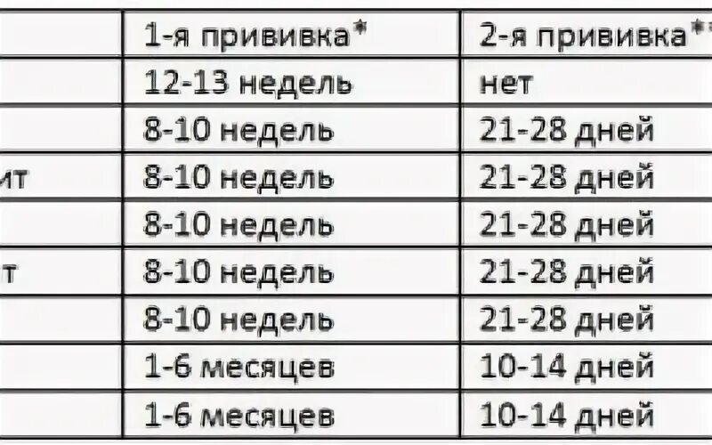 Во сколько первые прививки щенкам