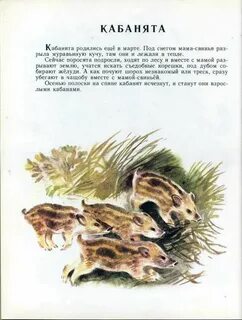 Г я снегирев бобровая хатка