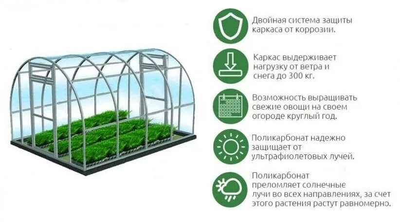 Санкт петербург каталог теплицы из поликарбоната. Огромный выбор теплиц и поликарбоната. Теплица как выбрать. Как выбрать место для теплицы. Защитный каркас.