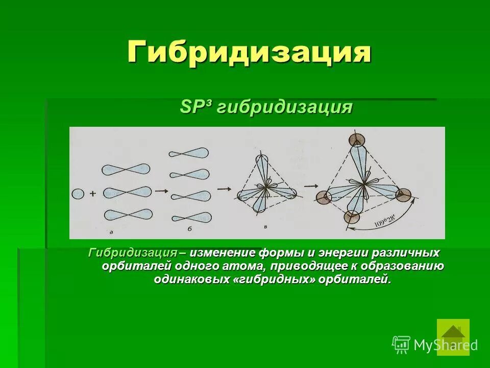 Фенол гибридизация атомов углерода. Гибридизация. Понятие гибридизации. Понятие гибридизации в химии. Гибридизация это в биологии кратко.