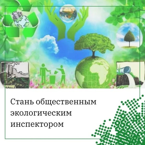 Проект экология. Общественное экологическое управление. Общественный экологический инспектор. Государственный проект экология. Государственные учреждения экологии