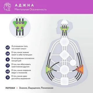 Что означает ментальный театр
