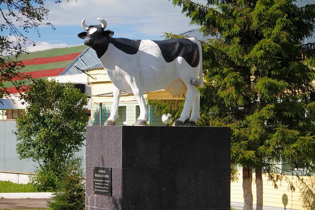 дикие животные кузбасса. корова в новокузнецке. коровы кемеровская обл. коровы кемеровская обл. коровы кемеровская обл.