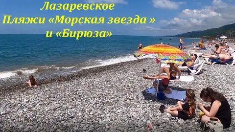 Телефон морской звезды лазаревское