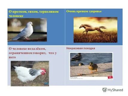 Кроткий тихий