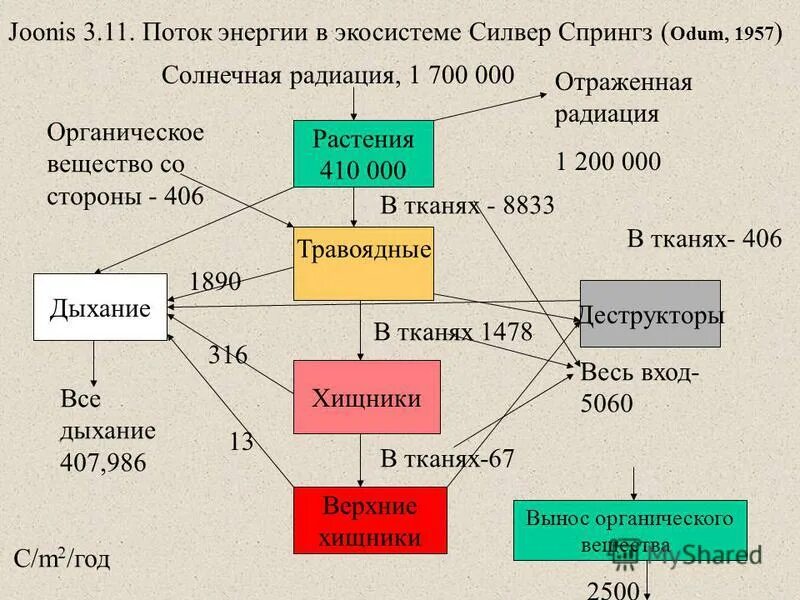 В экосистеме основной поток вещества. Поток энергии в экосистемах. Схема потока энергии. Схема потока энергии в экосистеме. Потоки вещества и энергии в экосистеме.