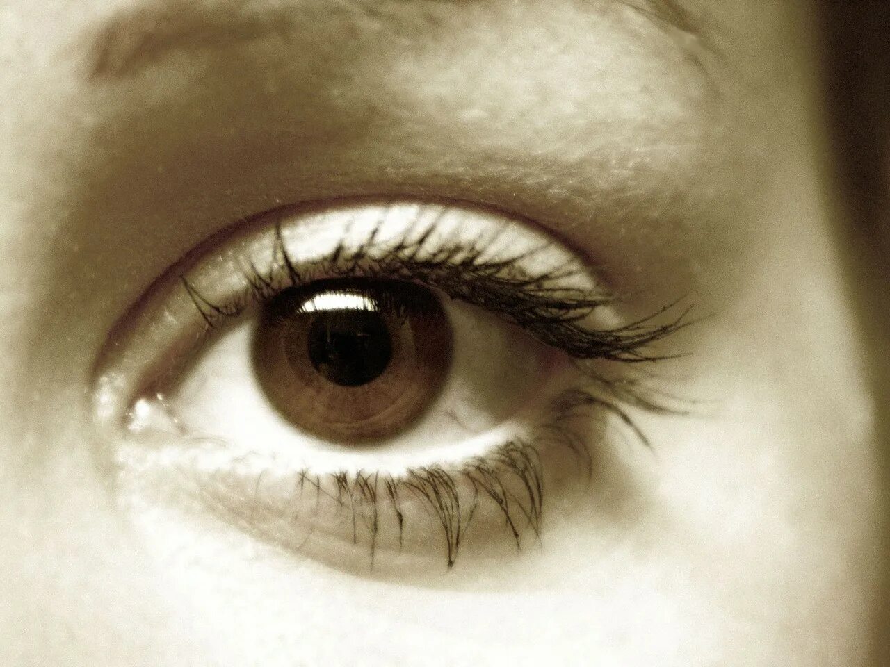 Глаз человека. Глаза хорошее зрение. Болезнь глаз астигматизм. Глаз стал видеть размыто. Глаз стал видеть размыто.