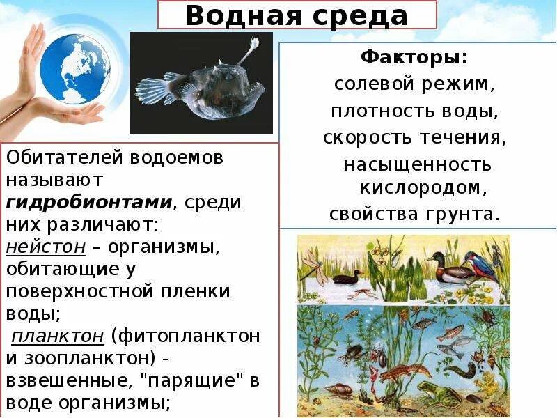 Факторы среды вода влажность. Водная среда плотность среды. Факторы водной среды. Солевой режим водной среды. Водная среда обитания экология.