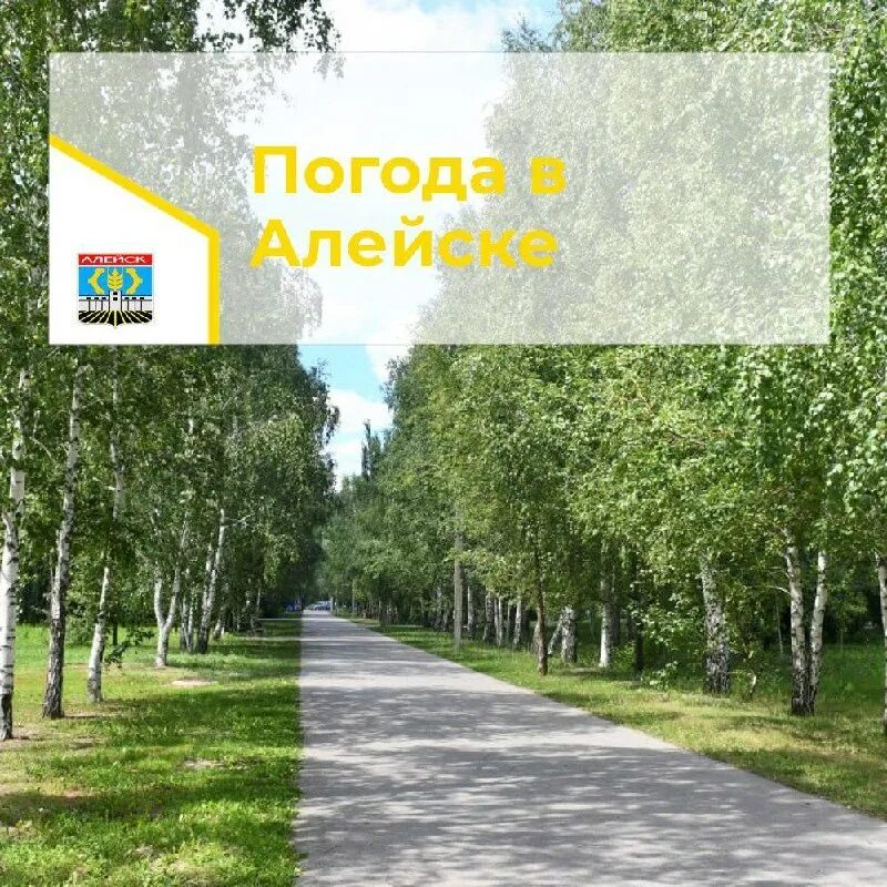 погода в алейске на 3