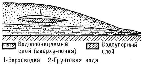 Верховодка это. Подземные воды схема верховодка. Верховодка межпластовые подземные воды. Схема условия залегания верховодки. Почвенные воды и верховодка.