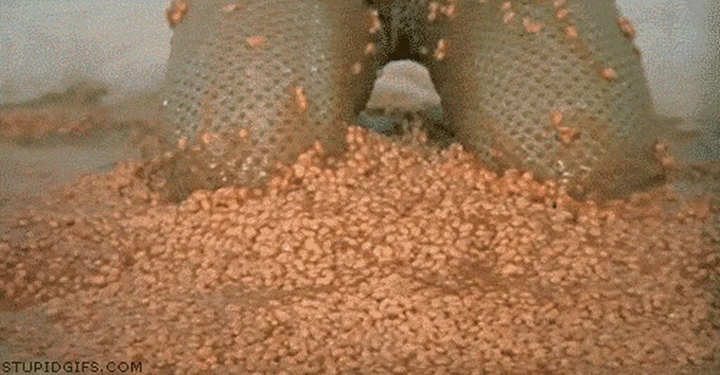 Icon. Scat gif. League of legends memes. Scat gif. Анимация какашки.