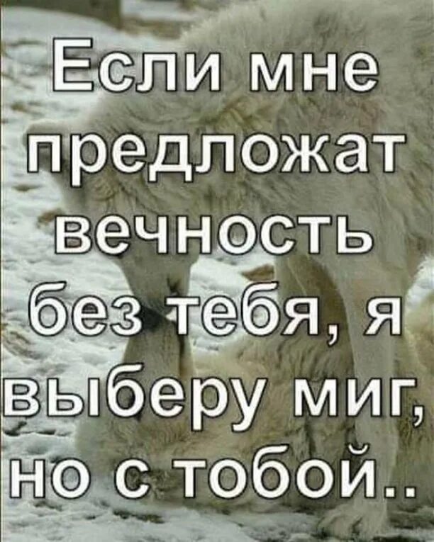 Даю тебе вечность. Даю тебе вечность. Цитаты о вечности и любви. Жду тебя вечность. Я буду ждать до конца.
