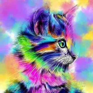 Покажи разноцветный