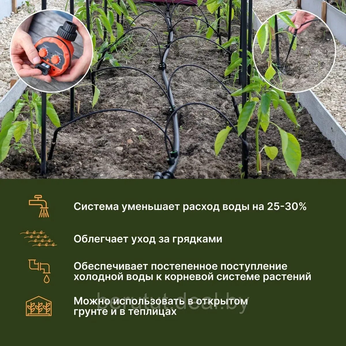 Жук для полива теплиц. Капельный полив для теплицы из бочки с таймером. система капельного полива жук. капельный полив жук с таймером. капельный полив для теплицы жук.