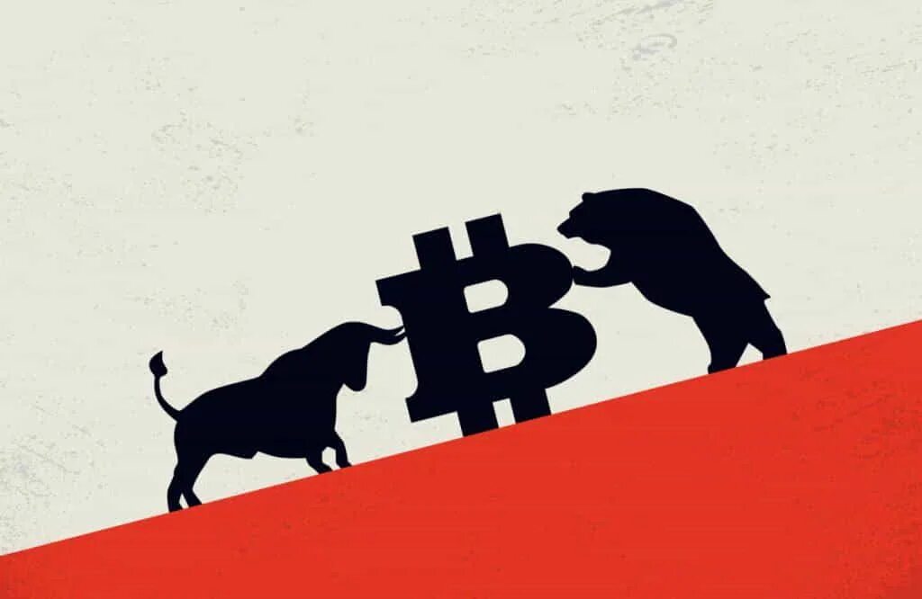 Bear bull. Трейдинг быки. Фондовая биржа быки и медведи. Бык трейдинг логотип. Быки и медведи.