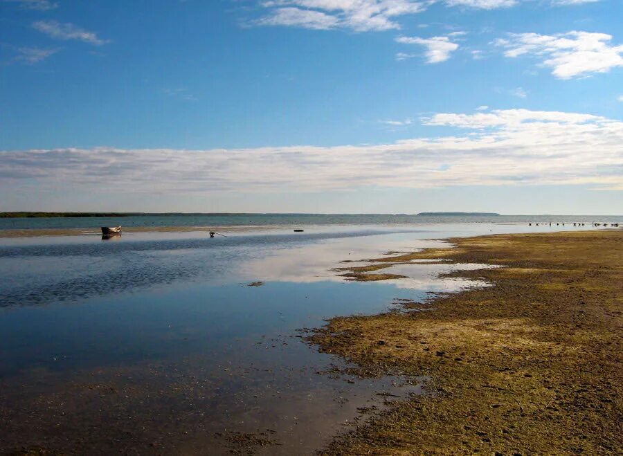 самое крупное озеро равнины. самое крупное озеро равнины. самое крупное озеро равнины. самое крупное озеро равнины. васюганские болота томская область.