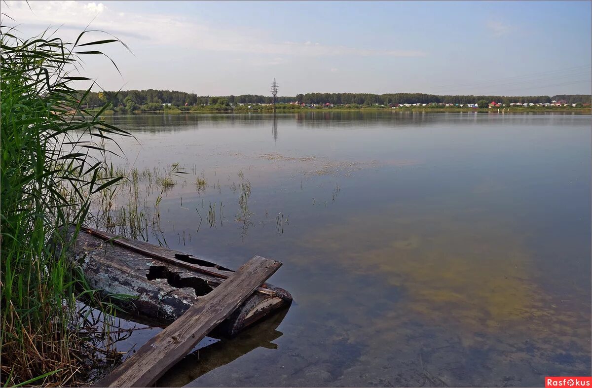 Карповый пруд. Карповый пруд. Карповый пруд. Озеро в карпово уфа. Карповый пруд.