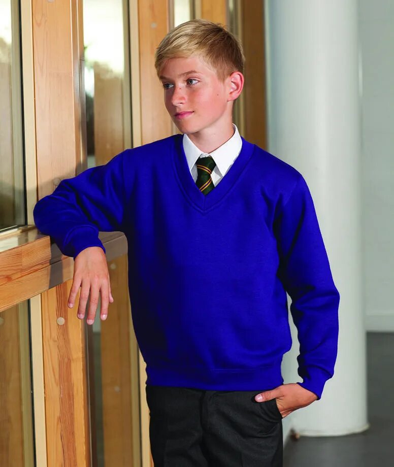 My school boy. School Jumper. Boy in Purple. Jumper School uniform Grammar. Boy in Purple Flashcard.