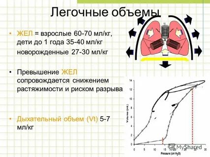 Объем легких человека таблица