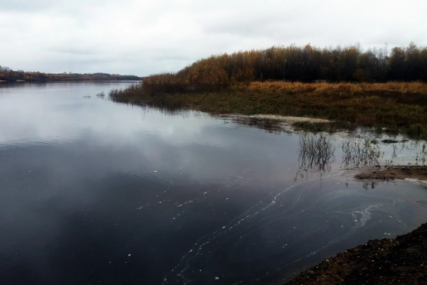 Уровень воды в реках коми на сегодня. Уровень воды в реке Вычегда. Уровень воды в реках Сыктывкаре. Река Печора вода. Уровень воды в Коми.