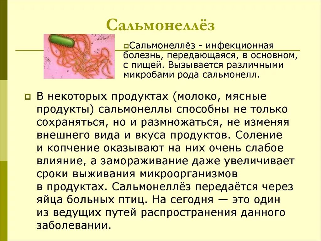 Сальмонеллез заразен