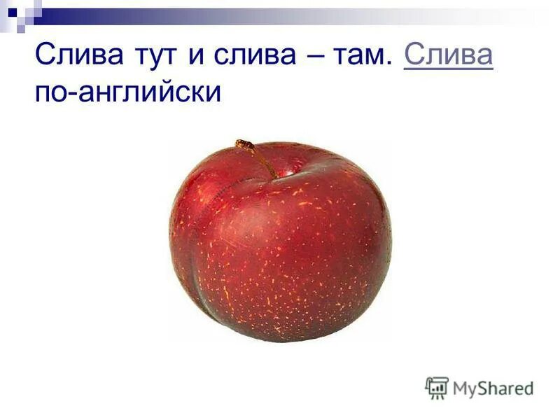 Слива с транскрипцией на английский. Слива по английски. Стих про сливу для детей. Слива по английски. Слива по-английски перевод.