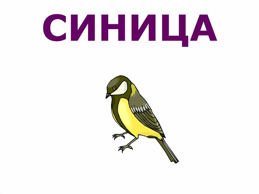 Синичка минус