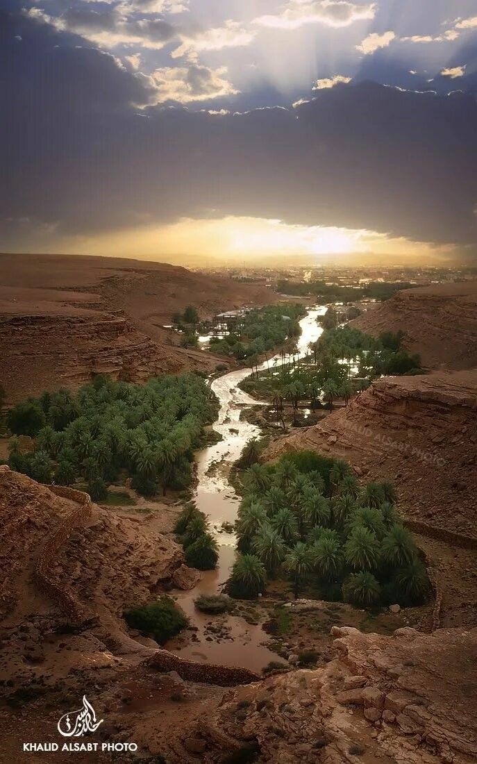 Реки саудовской аравии. Оазисы Саудовской Аравии. Саудовская Аравия ландшафт. Саудия Арабия природа. Оазис в пустыне Аравии.