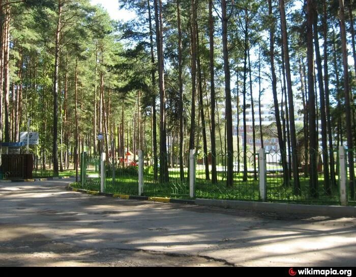 Пралеска минская. Санаторий Пралеска Минск. Санаторий Пралеска Минск фото. Санаторий Пралеска фото эконом класса.