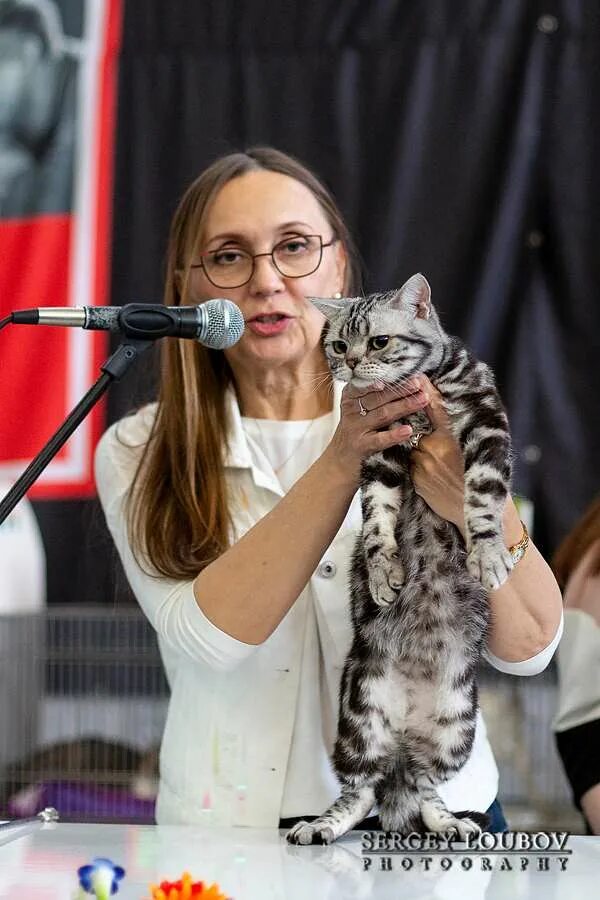 Выставка кошек. Выставка кошек Екатеринбург. Бузулук выставка кошек. Е кошки. Бузулук екатеринбург