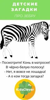 Детские загадки про зебру
