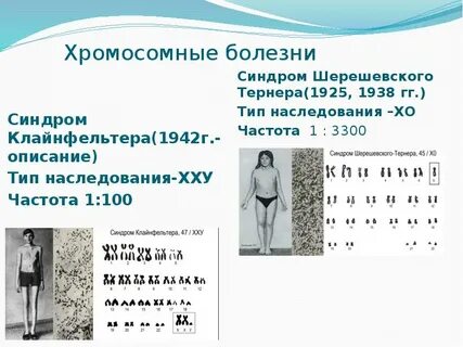 Кариотип 47 хху