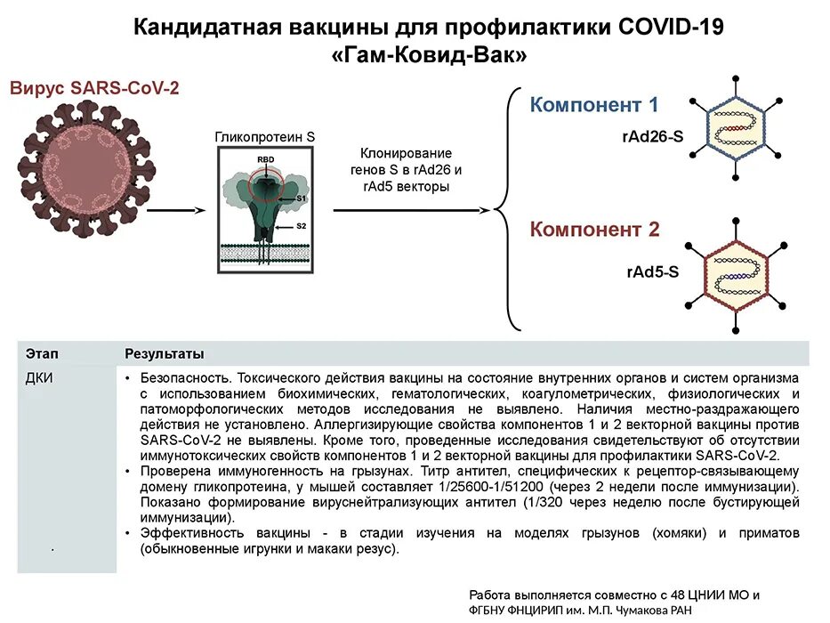 Схема прививок от коронавируса в России. Схема вакцинации коронавируса. Схема прививания от коронавируса. Коронавирус схемы вакцинации. Типа коронавируса в россии