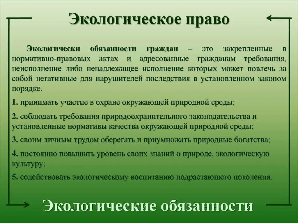 Экологические обязанности рф. Экологические обязанности граждан. Экологические обязанности.