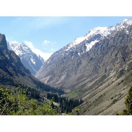 юпшарский каньон. каньон tazi. ущелье цифра 1. боомское ущелье кыргызстан. чегем баксанское ущелье.