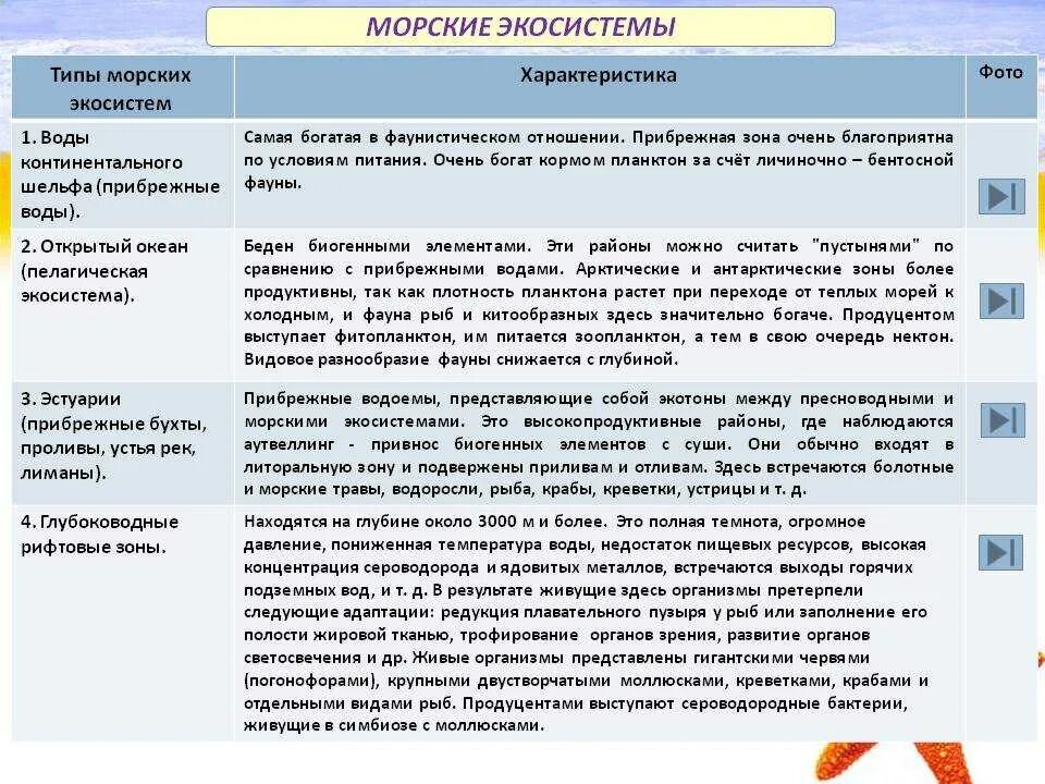 Характеристика экосистемы. Характеристика экосистемы. Экосистемы и их особенности. Основное свойство экосистем. Основные характеристики экологических систем.