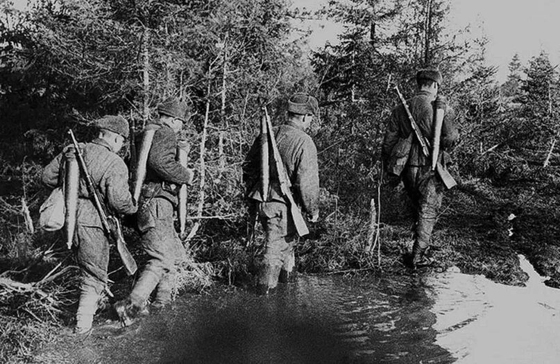 Лес у володи. Партизаны Великой Отечественной войны 1941-1945. Партизанский отряд вперед Карелия. Советские Партизаны в лесу.