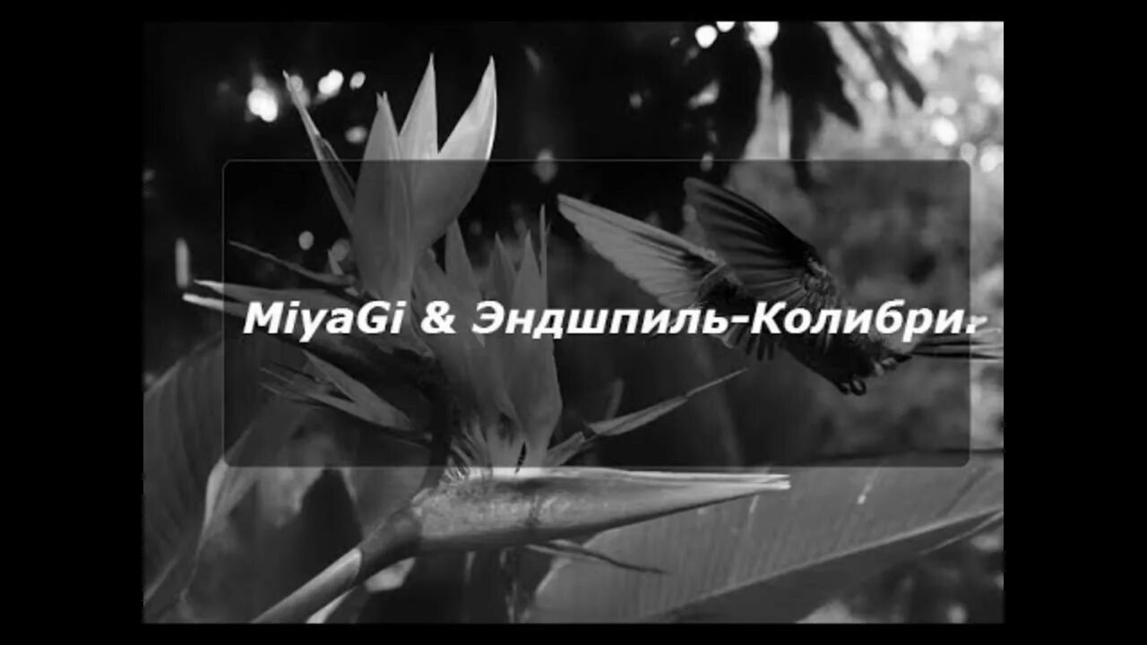 Колибри Miyagi & Эндшпиль. Колибри мияги Колибри. Колибри мияги обложка. Песни мияги Колибри.