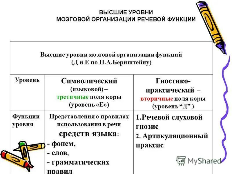 Уровень организации мозга. Символический уровень организации речи. Мозговая организация Гностико-праксических функций. Головной мозг уровень организации. Уровни мозговой организации ВПФ по Бернштейну.