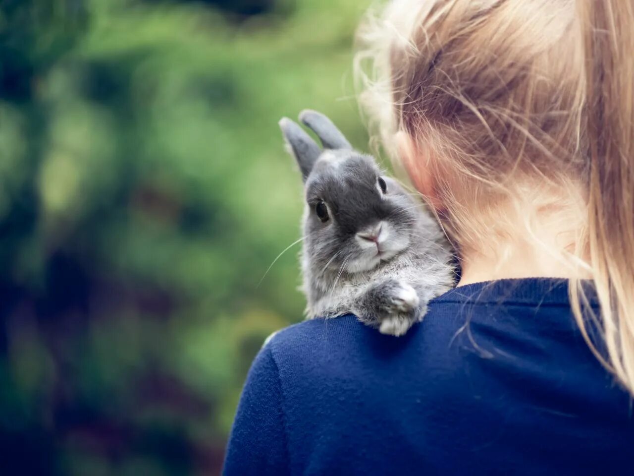 I a pet rabbit. Девушка кролик. Красивая девушка с кроликом. Кролик на руках.