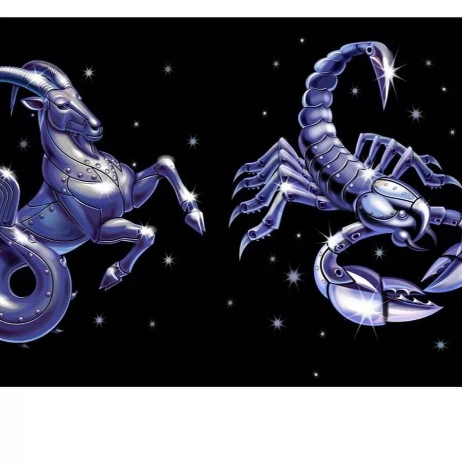 Козерог. Скорпион знак зодиака картинки. Знаки зодиака Овен дракон. Овен знак зодиака рисунок.
