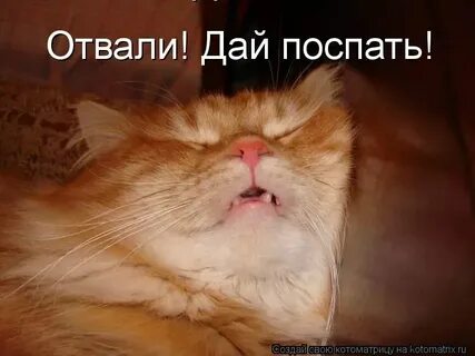 Отвали знаешь нет любви